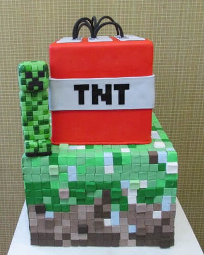 Bolo Minecraft